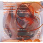 Snazzybags (1)